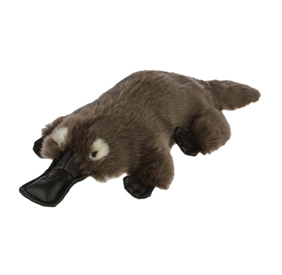 Duck Billed Platypus Size 36cm/14″ Eco Friendly、mySite、g9winljtr