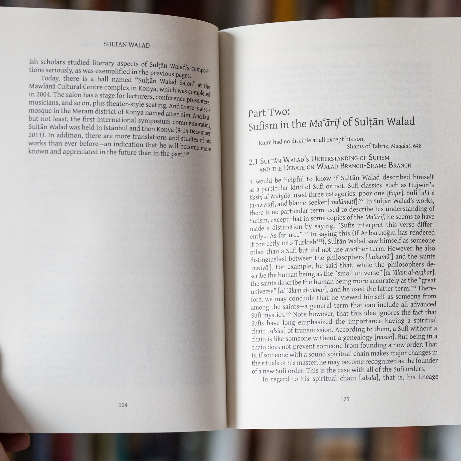 Sultan Walad: In the Footsteps of Rumi and Shams、mySite、topwebapps