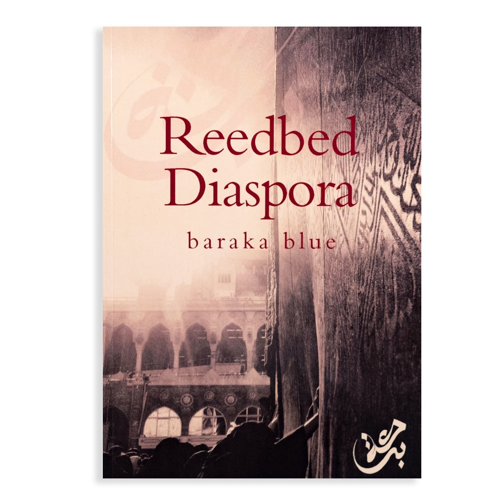 Reedbed Diaspora、mySite、topwebapps