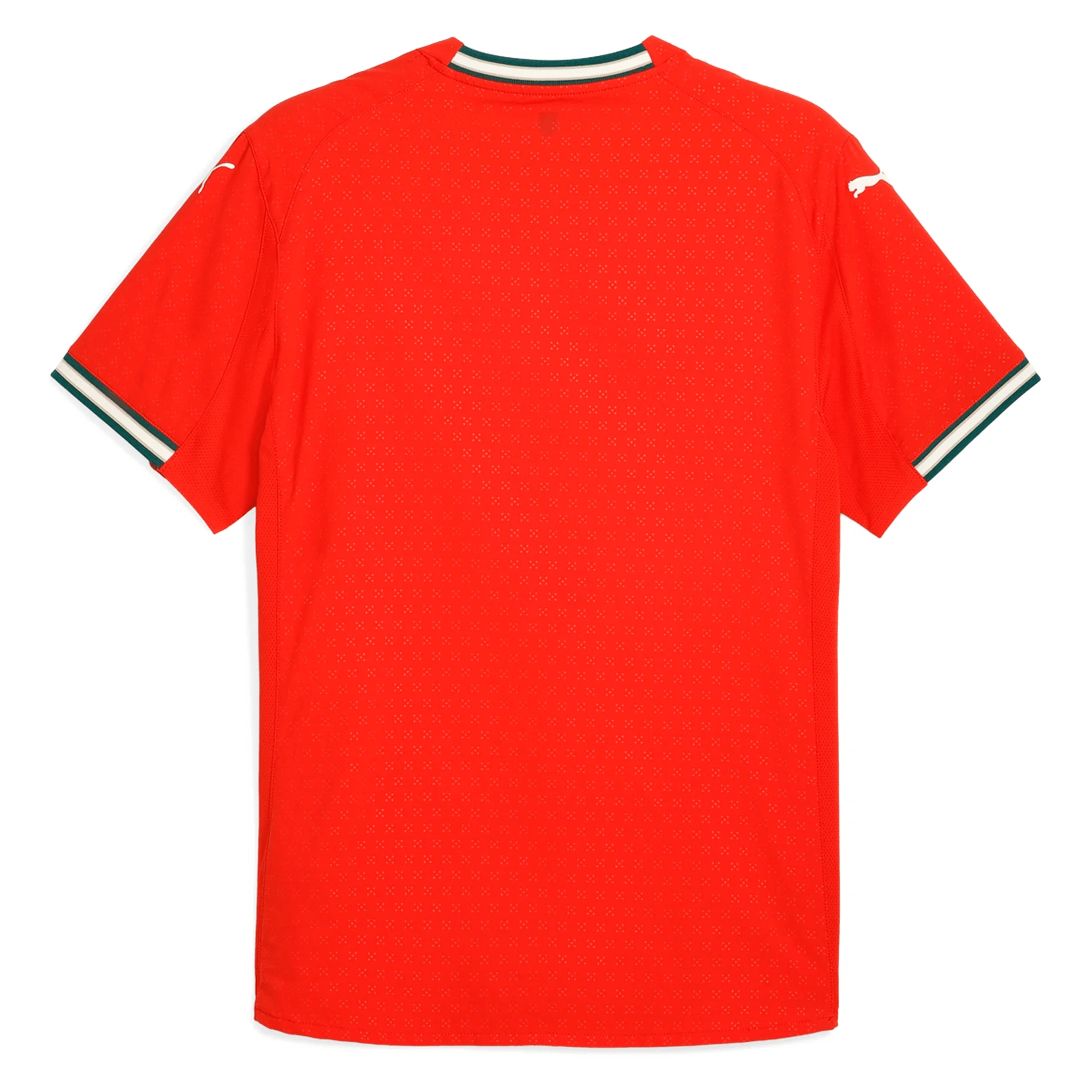 PUMA Men's Portugal 2025/26 Authentic Home Jersey Red、mySite、noshort