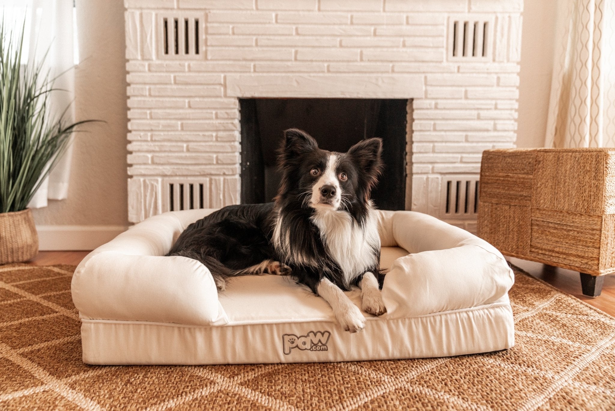 PupLounge™ Memory Foam Dog Bed Cover - White (Bed Not Included)、mySite、solidvoid