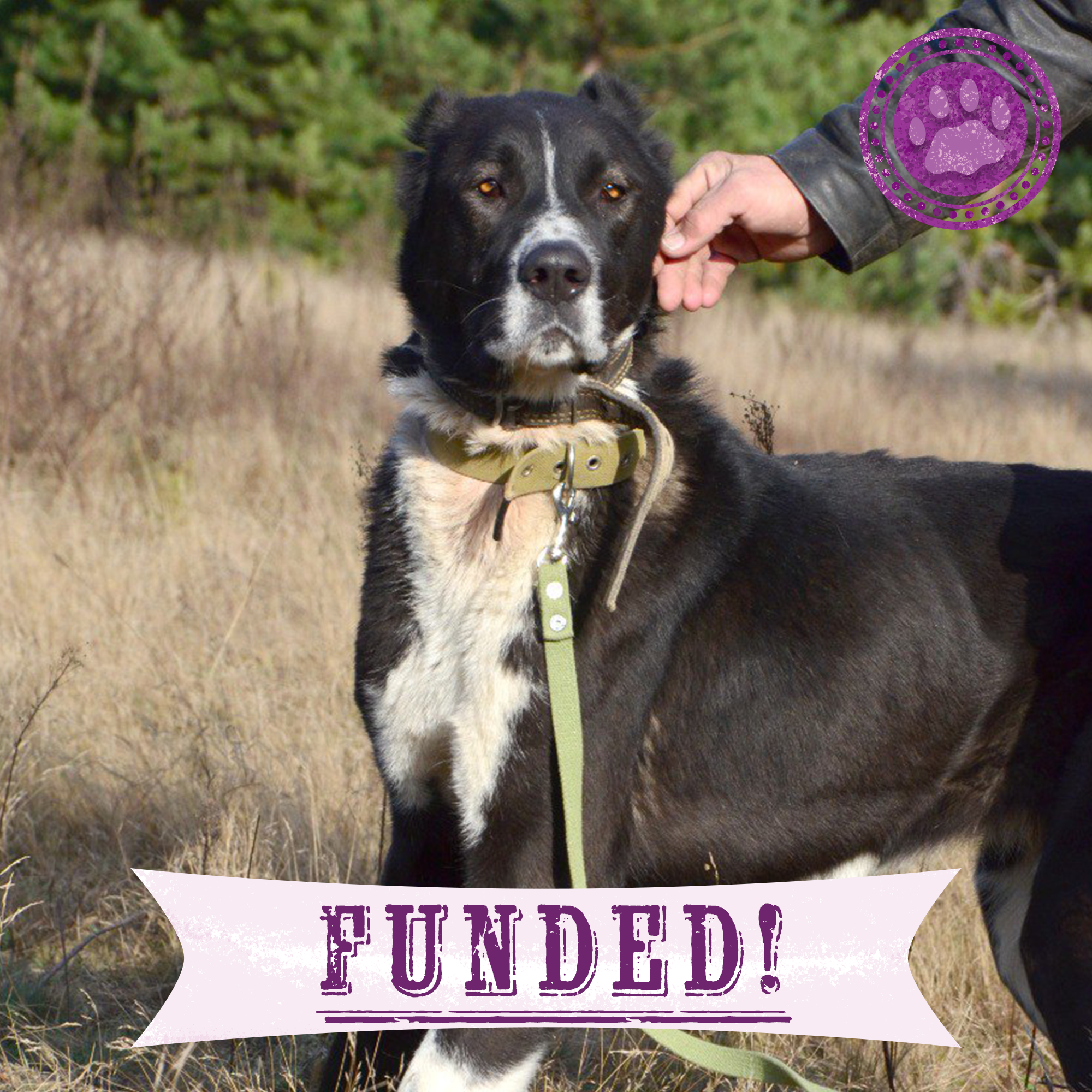 Funded: Help Fix Sorbona’s Broken Leg、mySite、camillekostekn