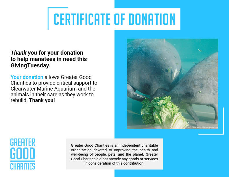 GivingTuesday: Help Save Rehabilitated Manatees、mySite、camillekostekn