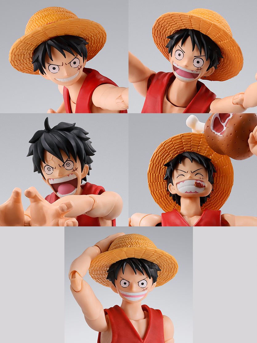 S.H. Figuarts One Piece Monkey D. Luffy (Romance Dawn)、mySite、hgirdovlk