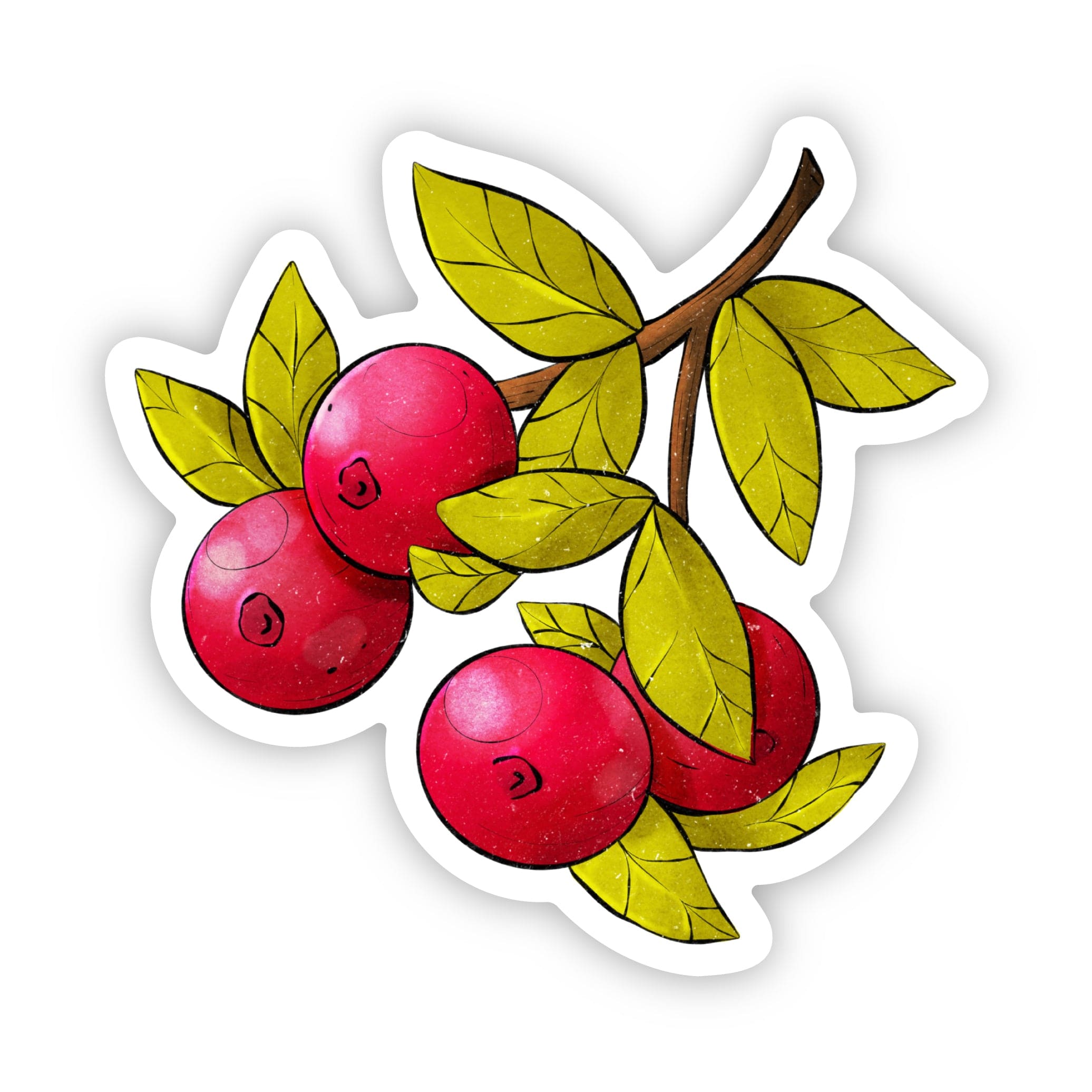  Wisconsin Cranberries Sticker、mySite、ghnorth