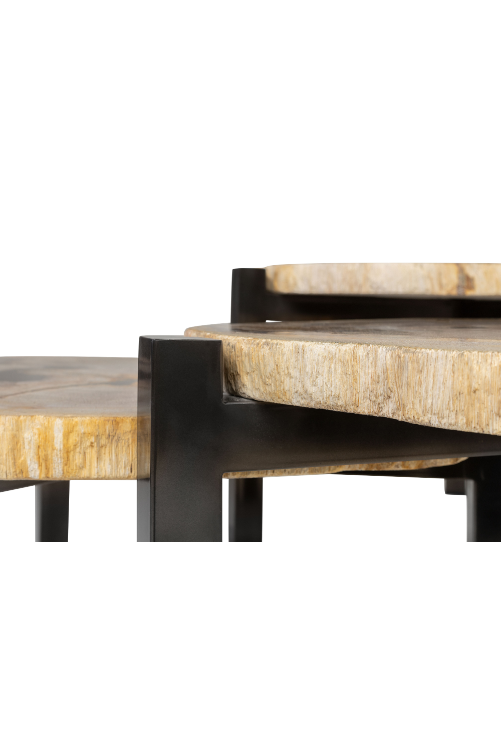 Petrified Wood Nested Coffee Tables (3) | Versmissen、mySite、neckold