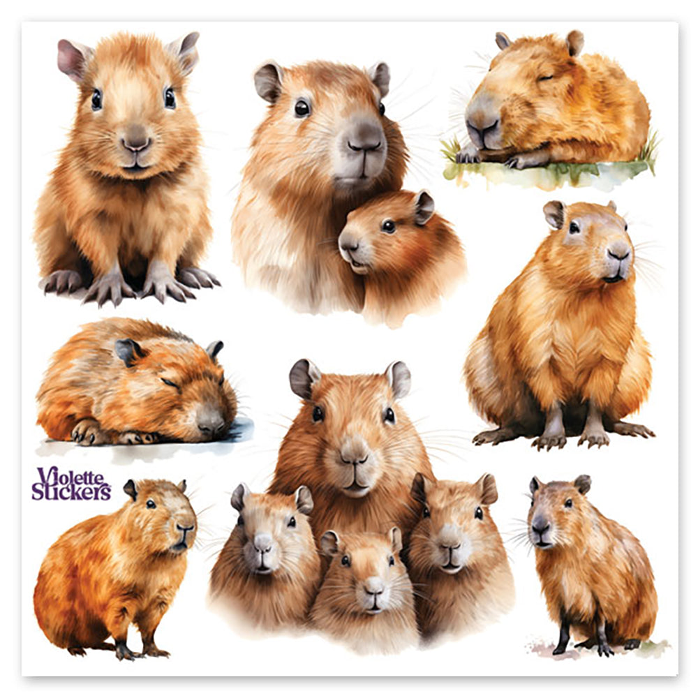  Capybaras Stickers、mySite、ghnorth