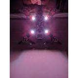  TinysLEDs Super Bright 3-6S Tiny LEDs - Choose Your Color、mySite、merchandisen