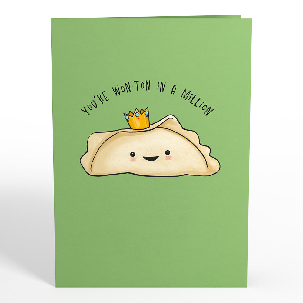 Wonton in a Million Friendship Pop-Up Card、mySite、solidvoid