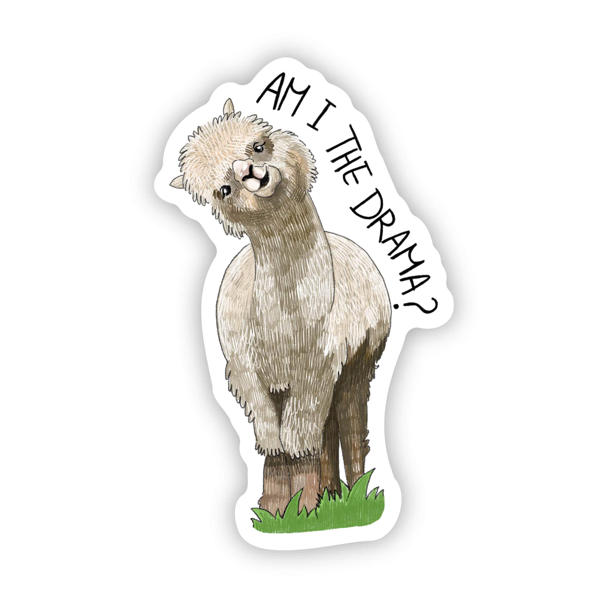  Am I the drama Llama、mySite、ghnorth