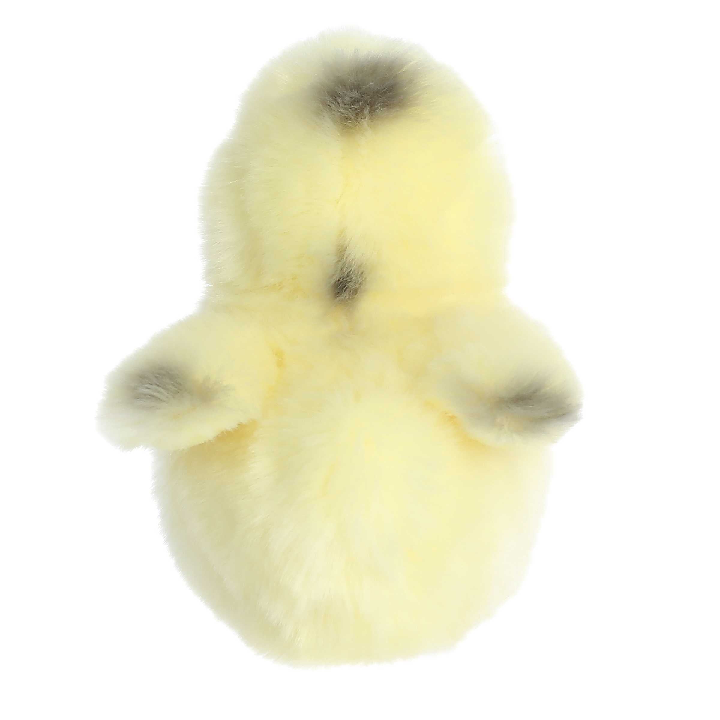 Aurora® - Miyoni® Tots - 5.5 Ameraucana Chick、mySite、g9winljtr
