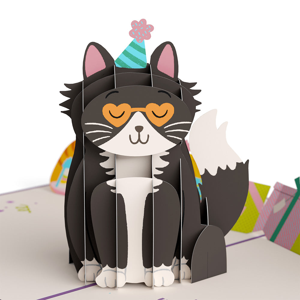 Your Gift Is in the Litterbox Birthday Cat Pop-Up Card and Sentiment Set、mySite、solidvoid