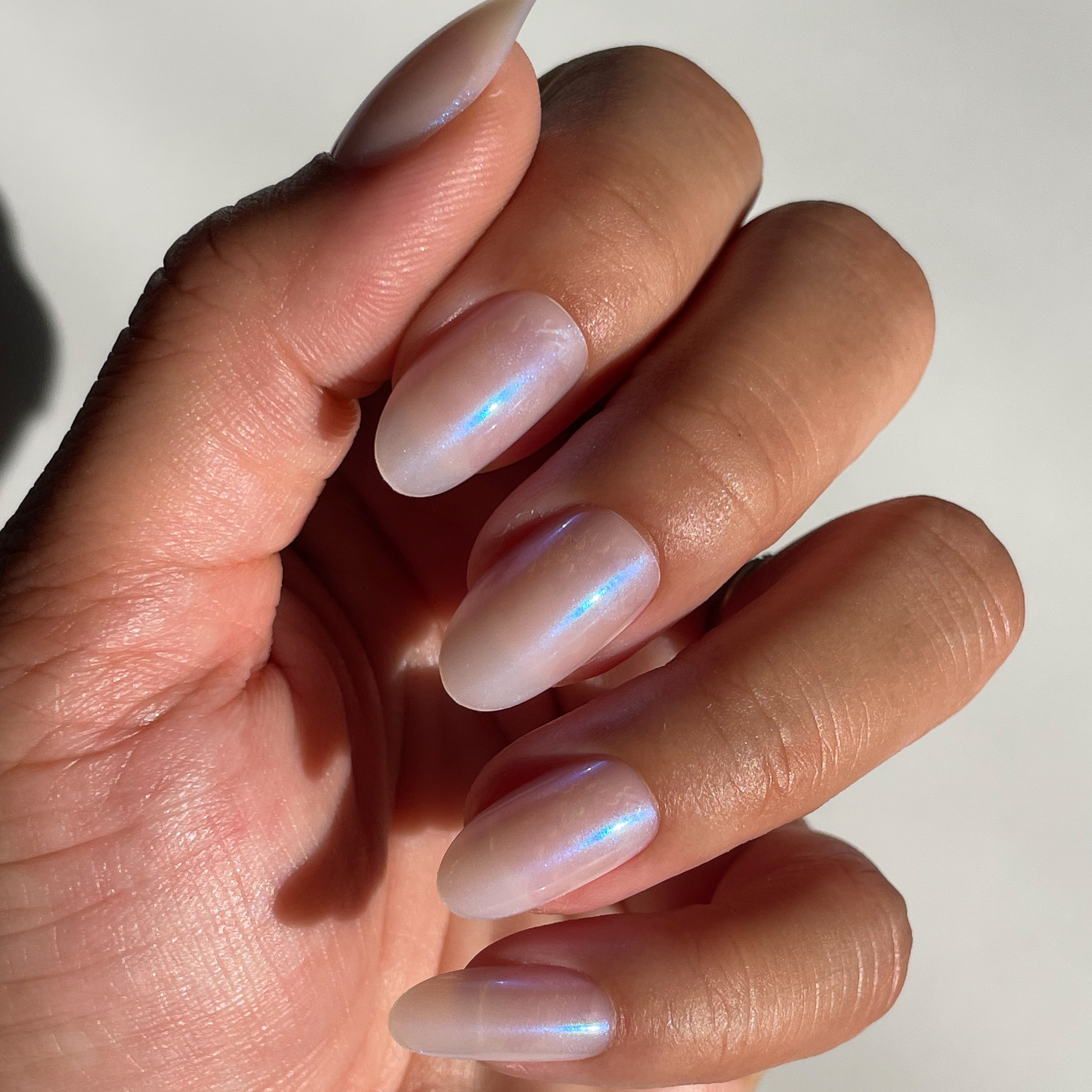 Pink Goldfish | Oval | Medium、mySite、solidvoid