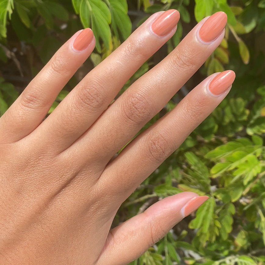 Canyon、mySite、solidvoid