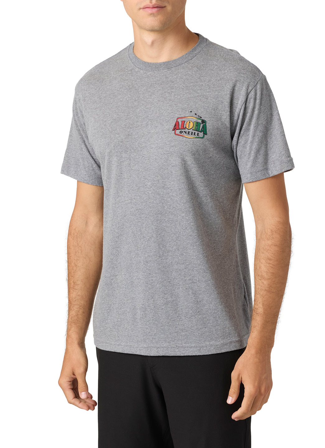 O'Neill Men's Palms Tee、mySite、noshort