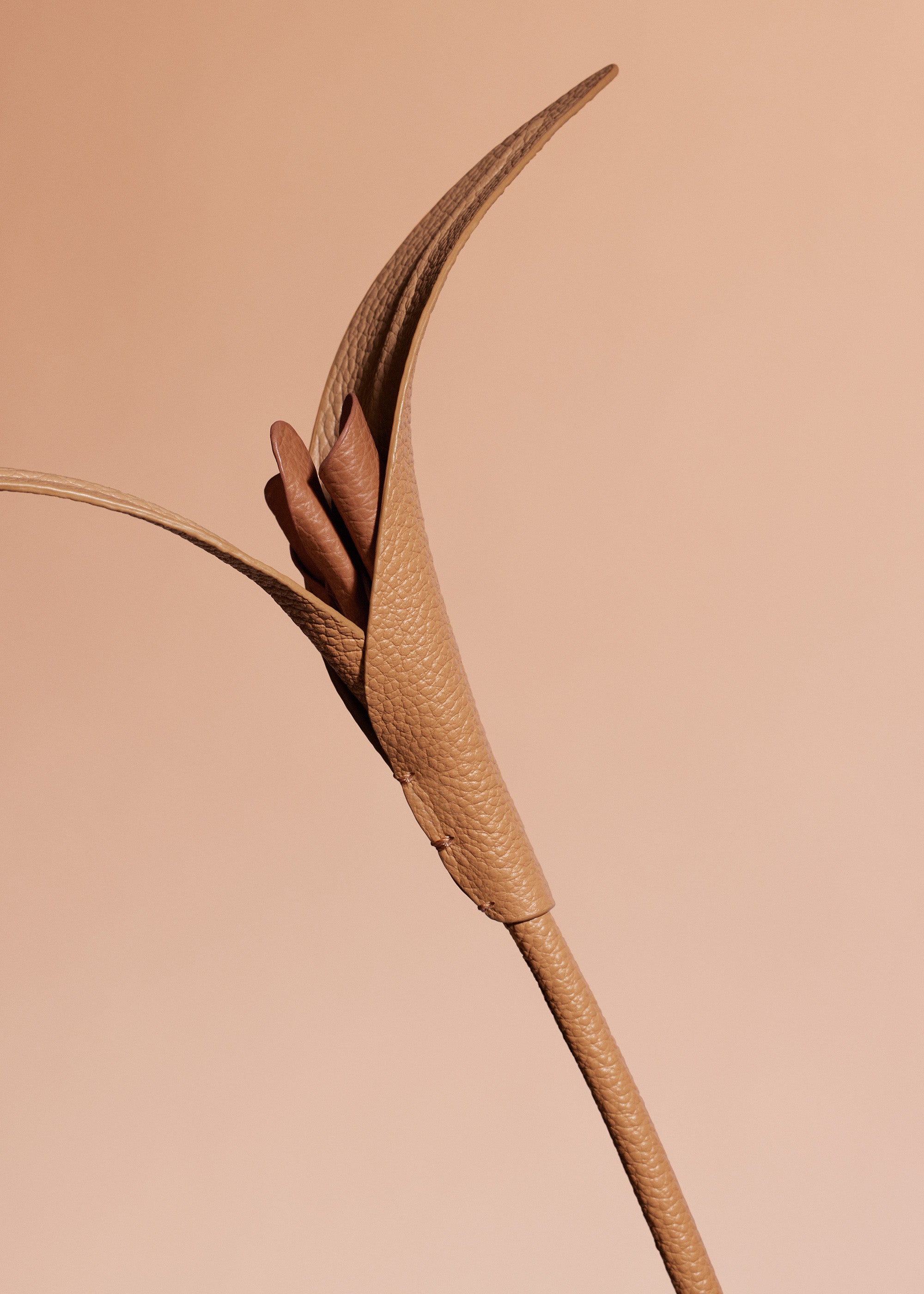 Fleur Touka - Trio Tan Grain茅、mySite、camillekostekn