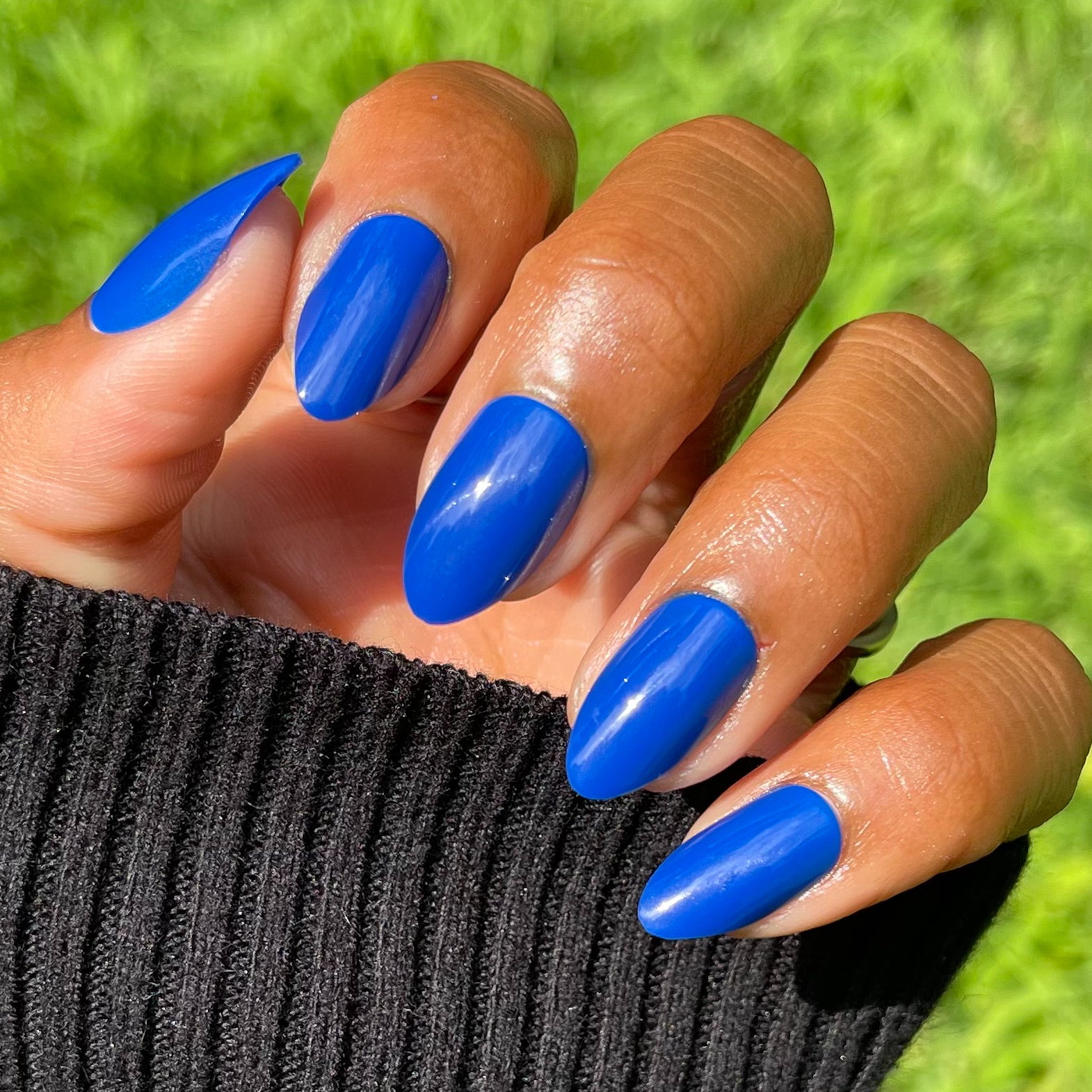 Blueberry Muffin | Almond | Medium、mySite、solidvoid