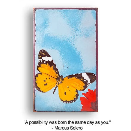 228: Chrysalis、mySite、g9winljtr