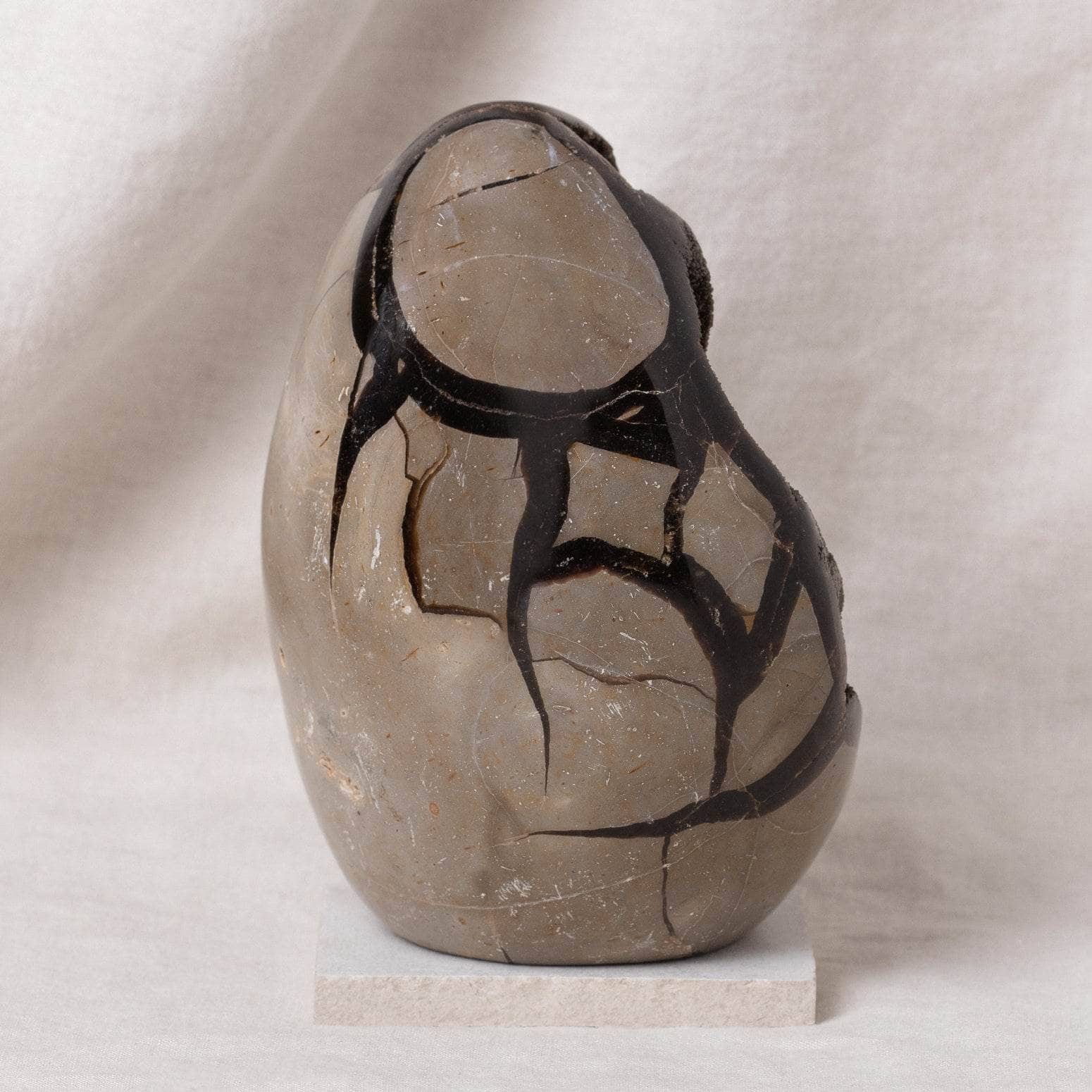 Rare Black Septarian Freeform Crystal、mySite、hinf8tx79