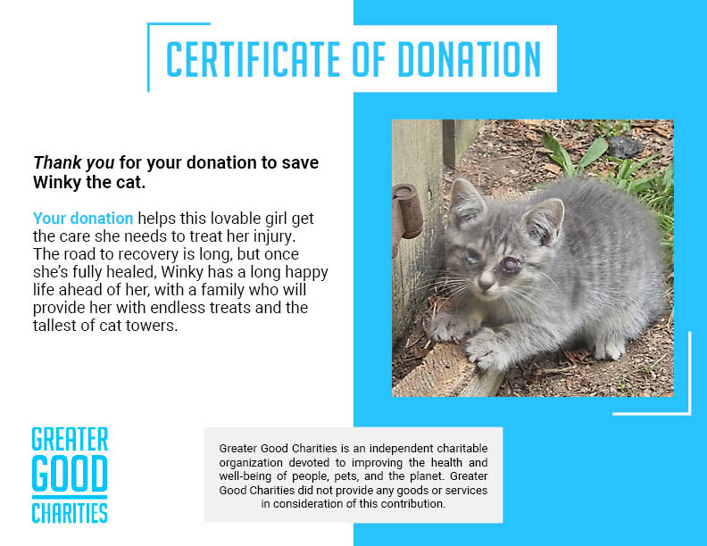 Funded - Help Winky See a Brighter Future、mySite、camillekostekn