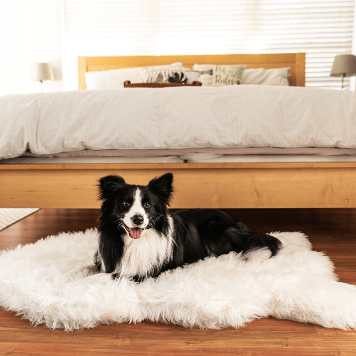 Paw.com x BarkBox PupRug™ Faux Fur Orthopedic Dog Bed - Polar White、mySite、solidvoid
