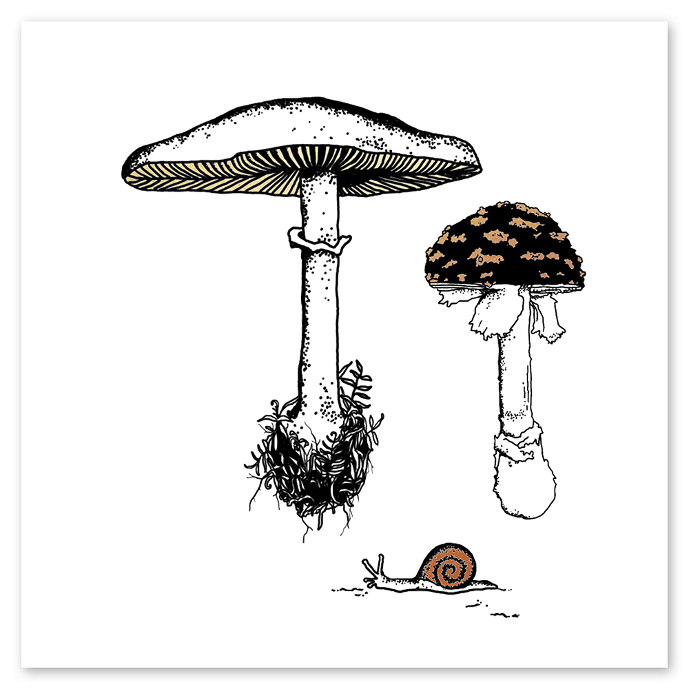  Fungi Garden Trio Metallic Tattly Temporary Tattoos、mySite、ghnorth