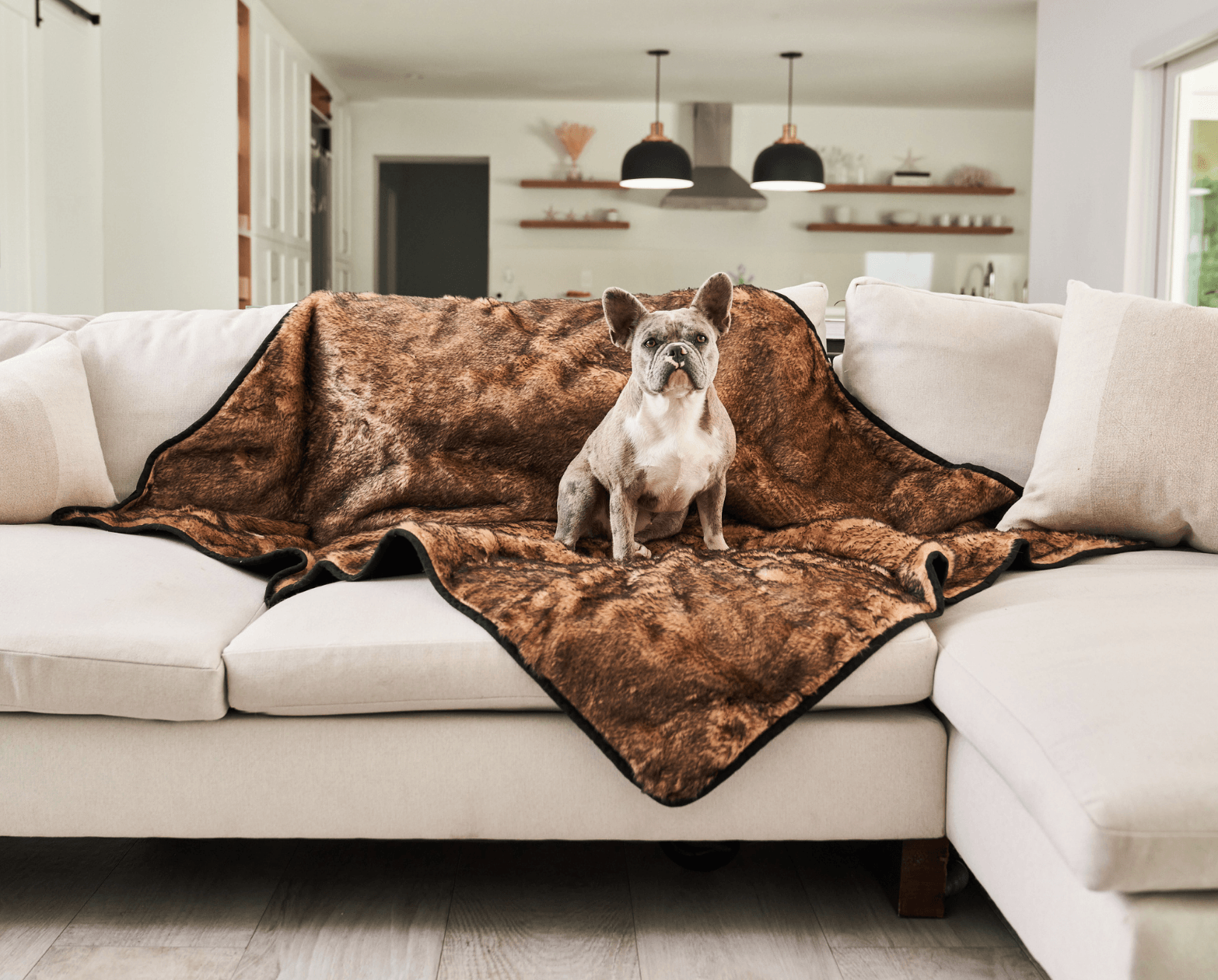 Paw.com x BarkBox PupProtector™ Short Fur Waterproof Throw Blanket - Sable Tan、mySite、solidvoid