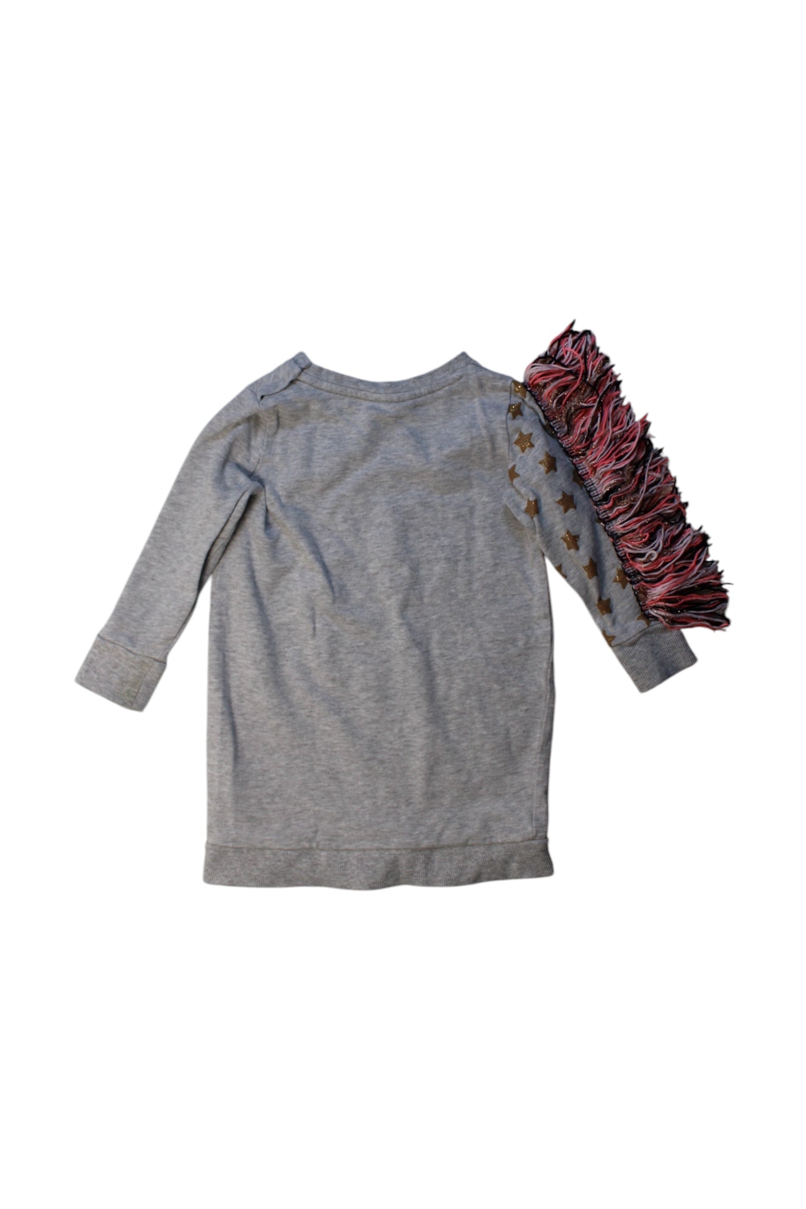 Seed Unicorn Fringe Long Sleeve Top, Size 2T、mySite、g9winljtr