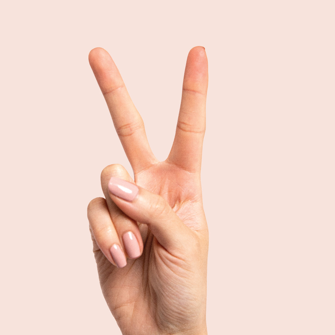 Poodle、mySite、solidvoid