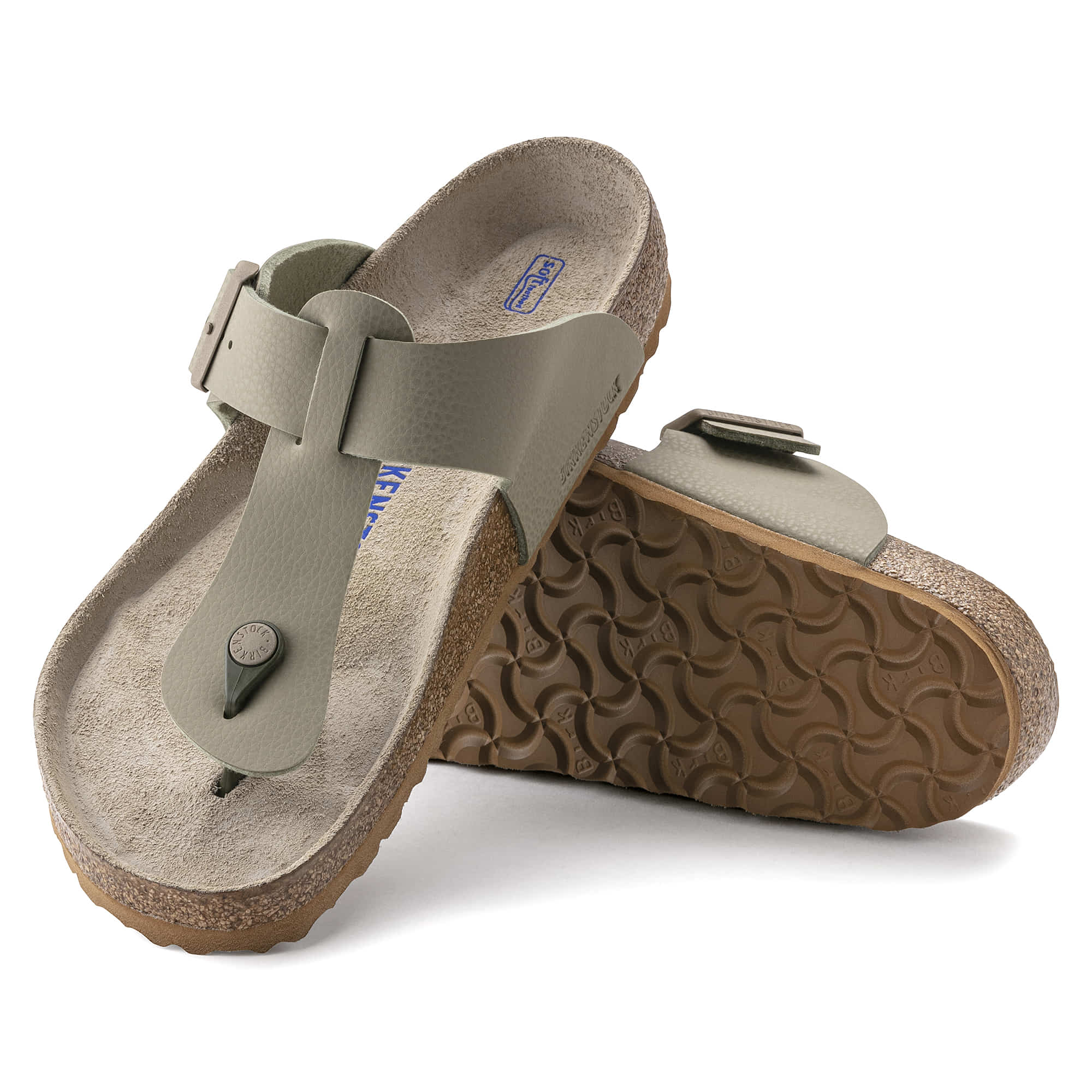 Medina Birko-Flor、mySite、gtrtttuynbv