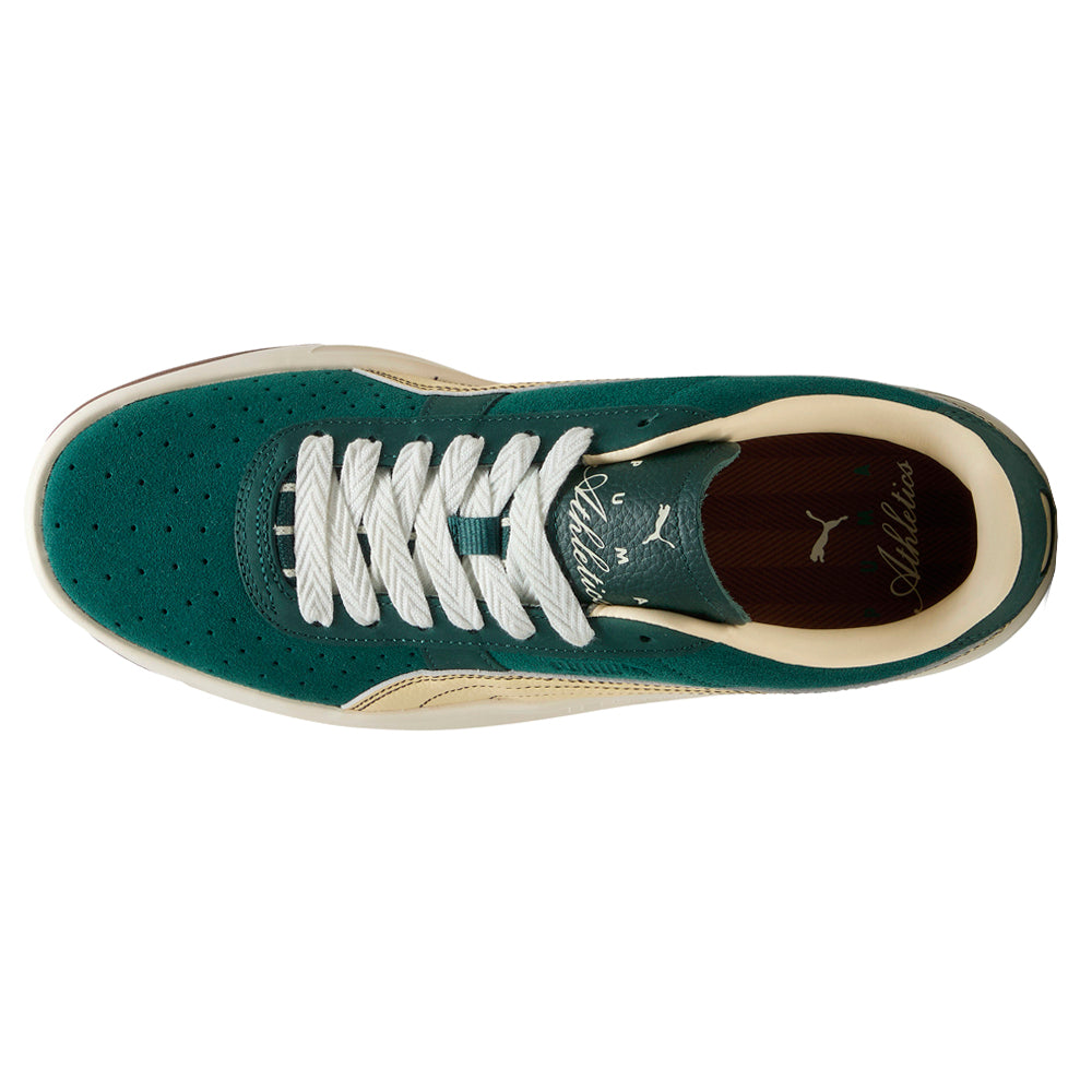 Gv Special Players Lane Lace Up Sneakers、mySite、gtrtttuynbv