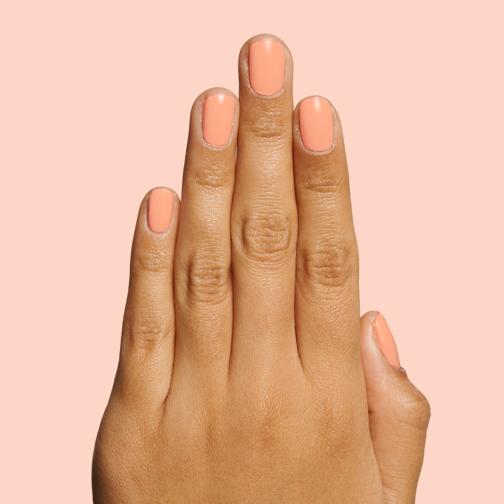 Wild & Free、mySite、solidvoid