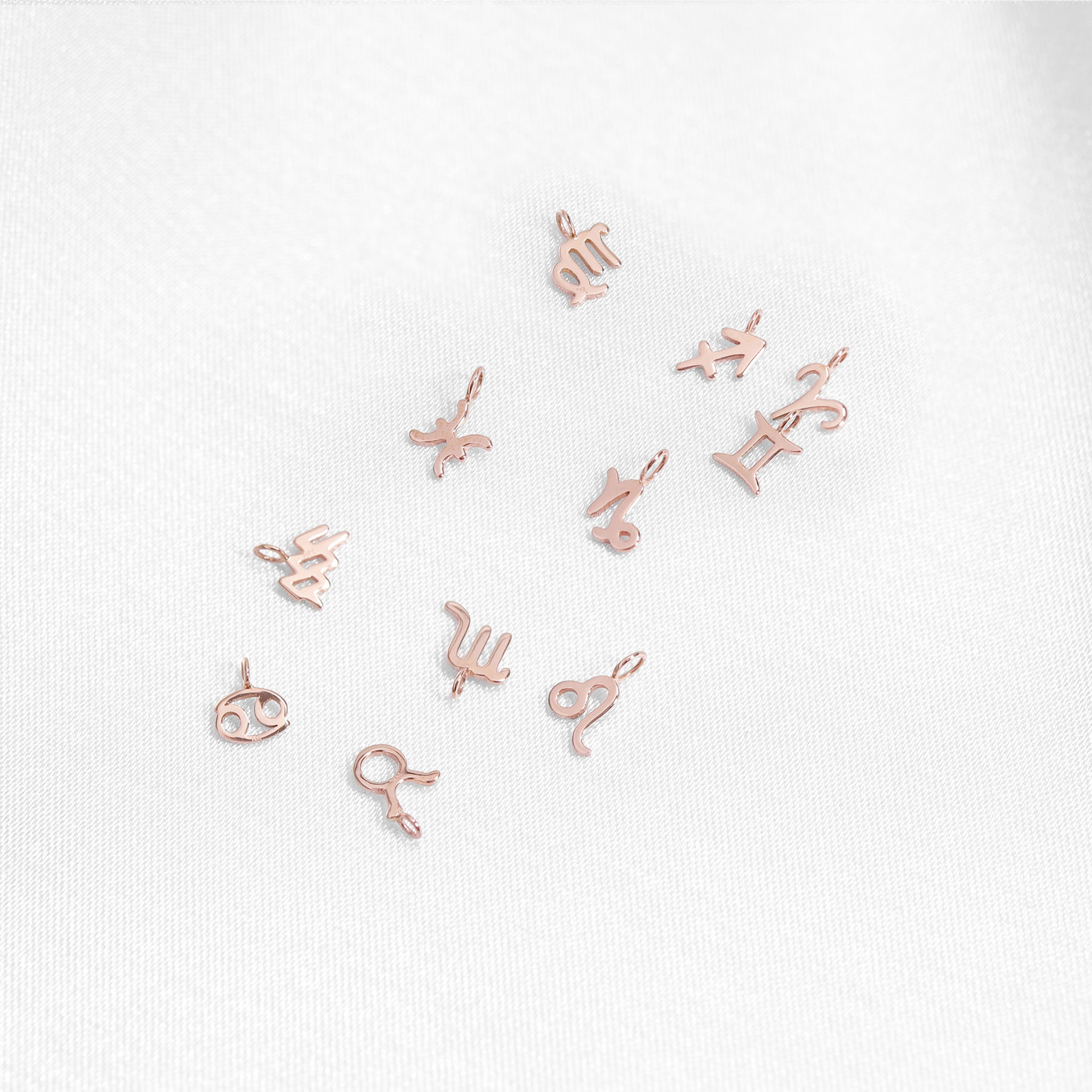 Permanent Jewelry 14K Solid Rose Gold Zodiac Charms / PMJ2009、mySite、dreamappss