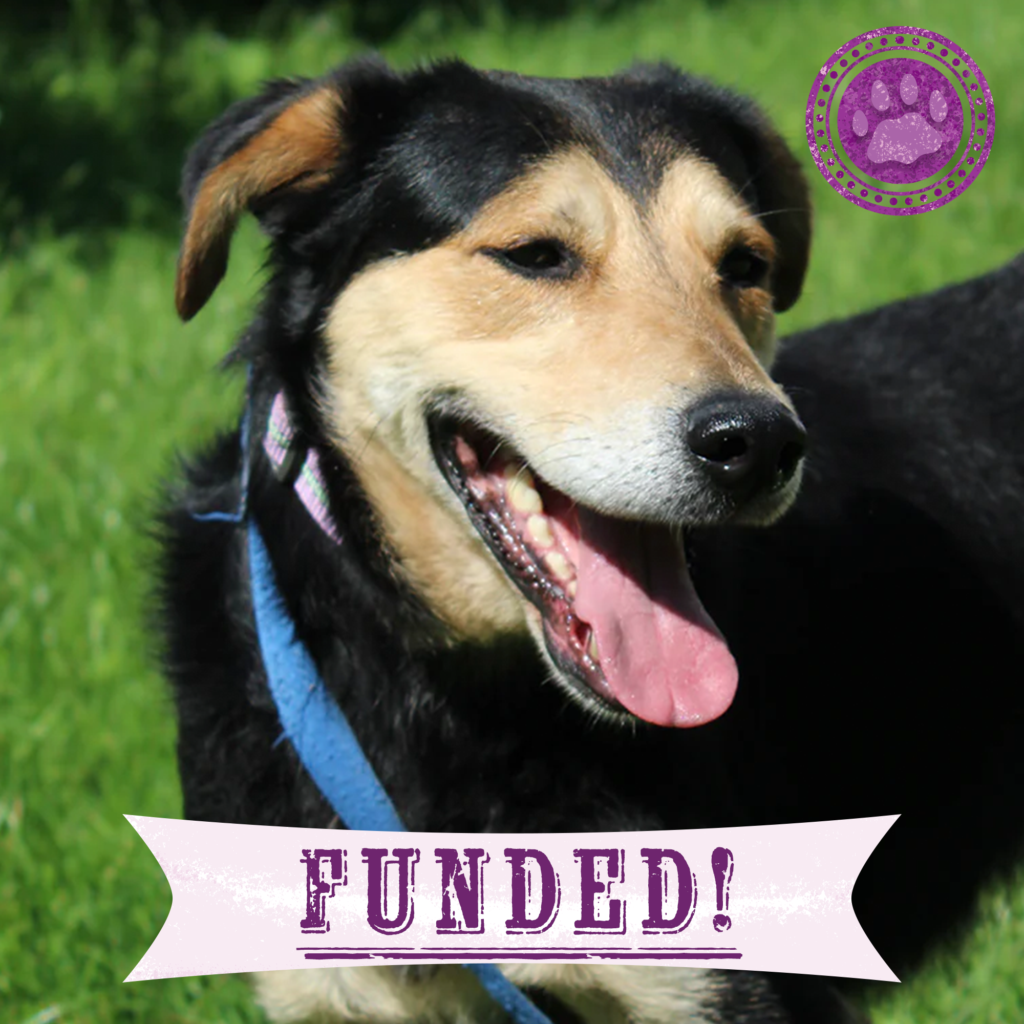 Funded: Bonnie Needs Support After Devastating Injury、mySite、camillekostekn