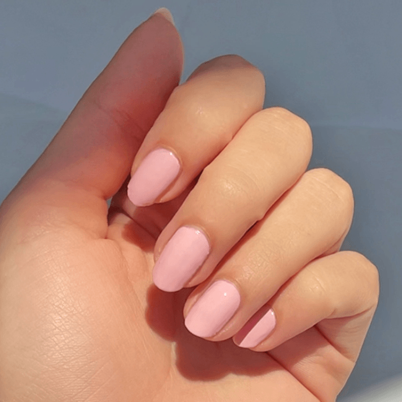 Rosy Tips、mySite、solidvoid