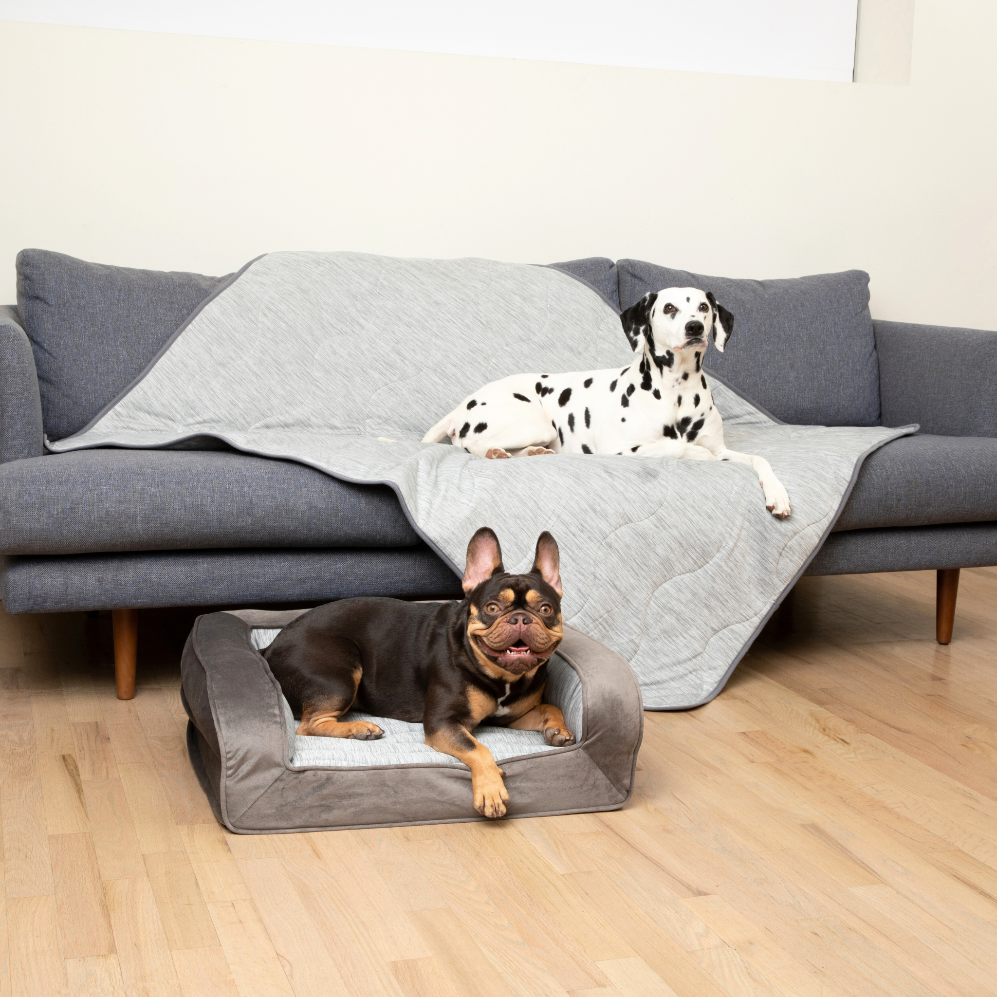 PupChill™ Cooling Bolster Dog Bed + Waterproof Blanket Bundle - Arctic Grey、mySite、solidvoid