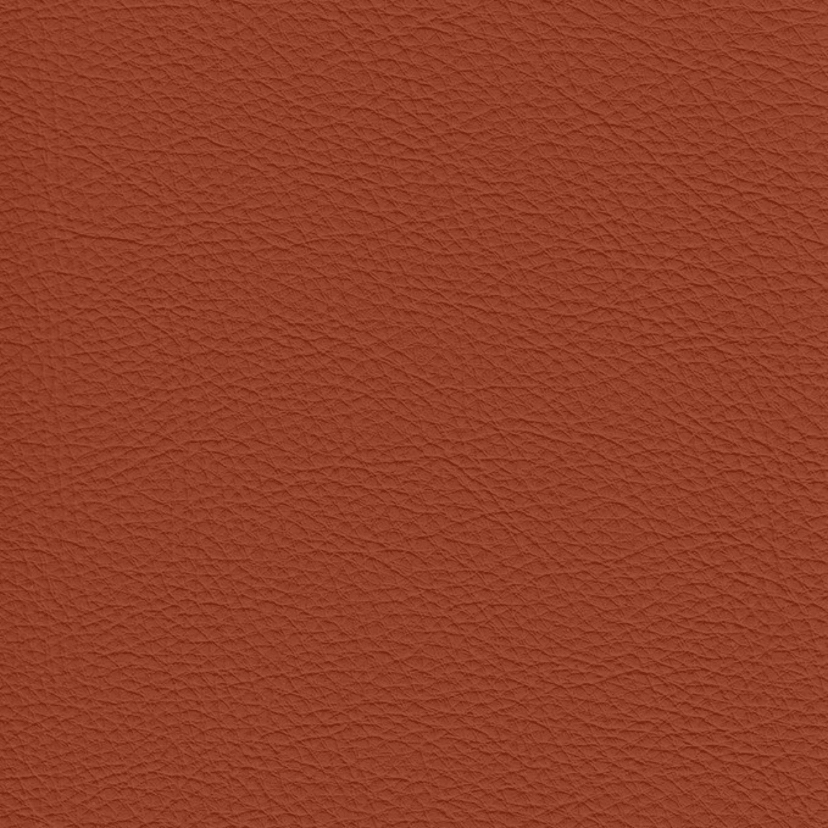 Grade A: Matera MR691、mySite、neckold