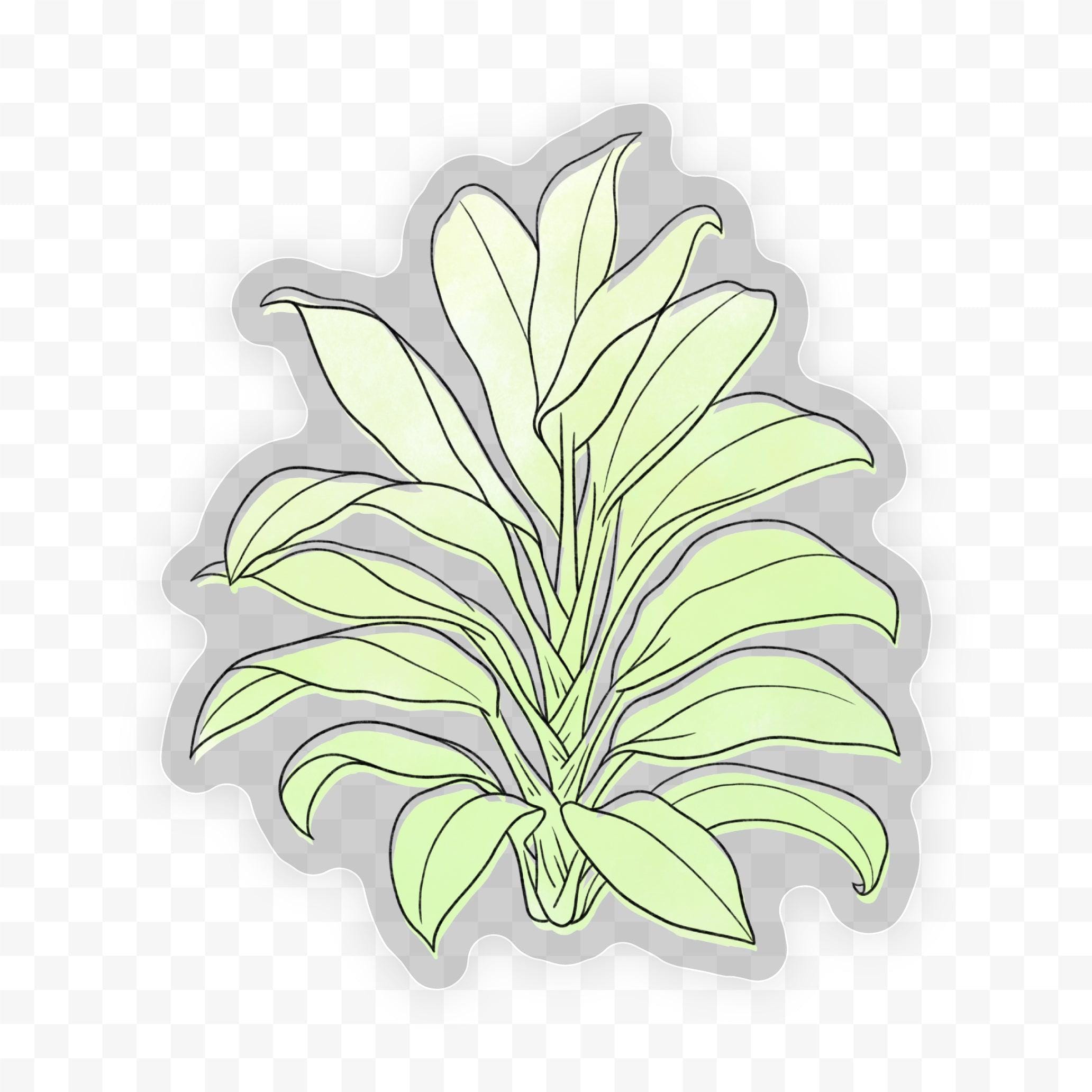  Cordyline Fruticosa Watercolor - Clear Sticker、mySite、ghnorth