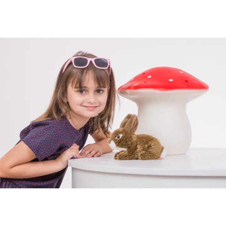 Brown Bunny by Teddy Hermann、mySite、g9winljtr