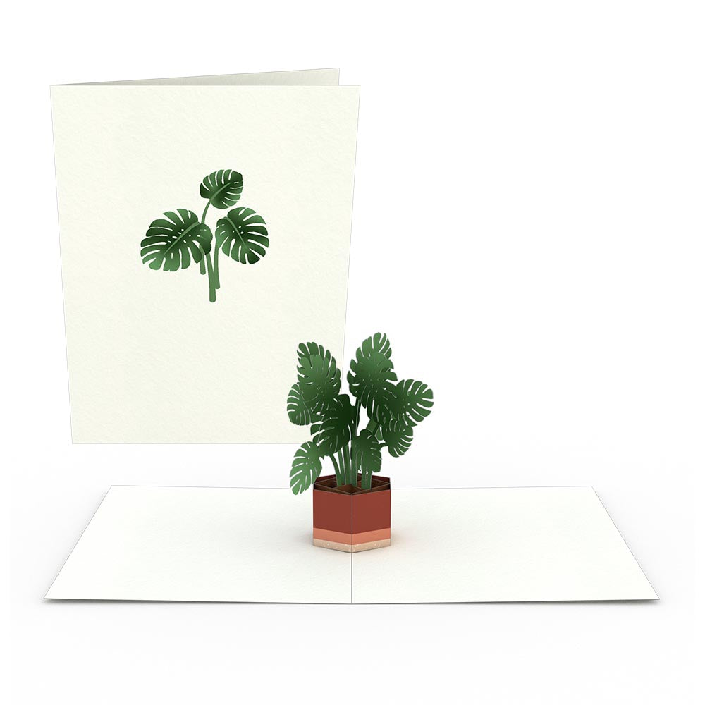 Plants Notecards (Assorted 4-Pack)、mySite、solidvoid