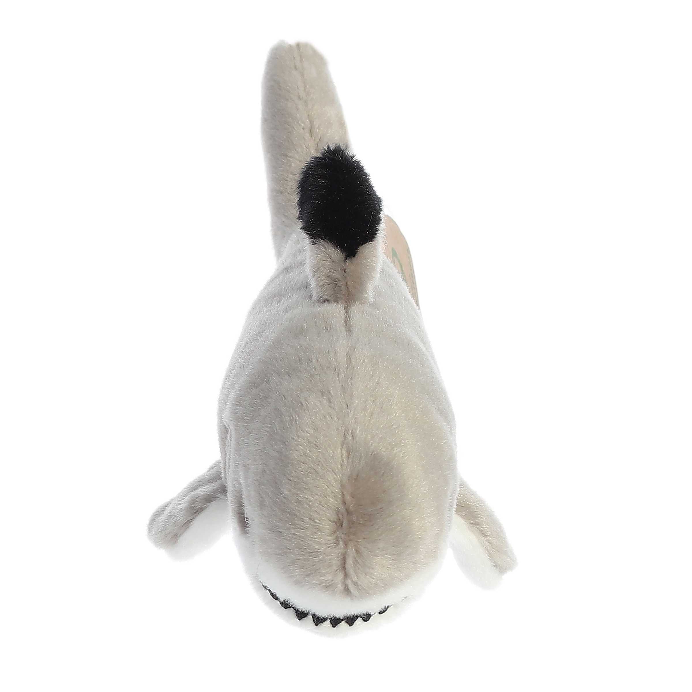 Aurora® - Eco Nation™ - Eco Softies™ - 8 Black Tipped Shark、mySite、g9winljtr