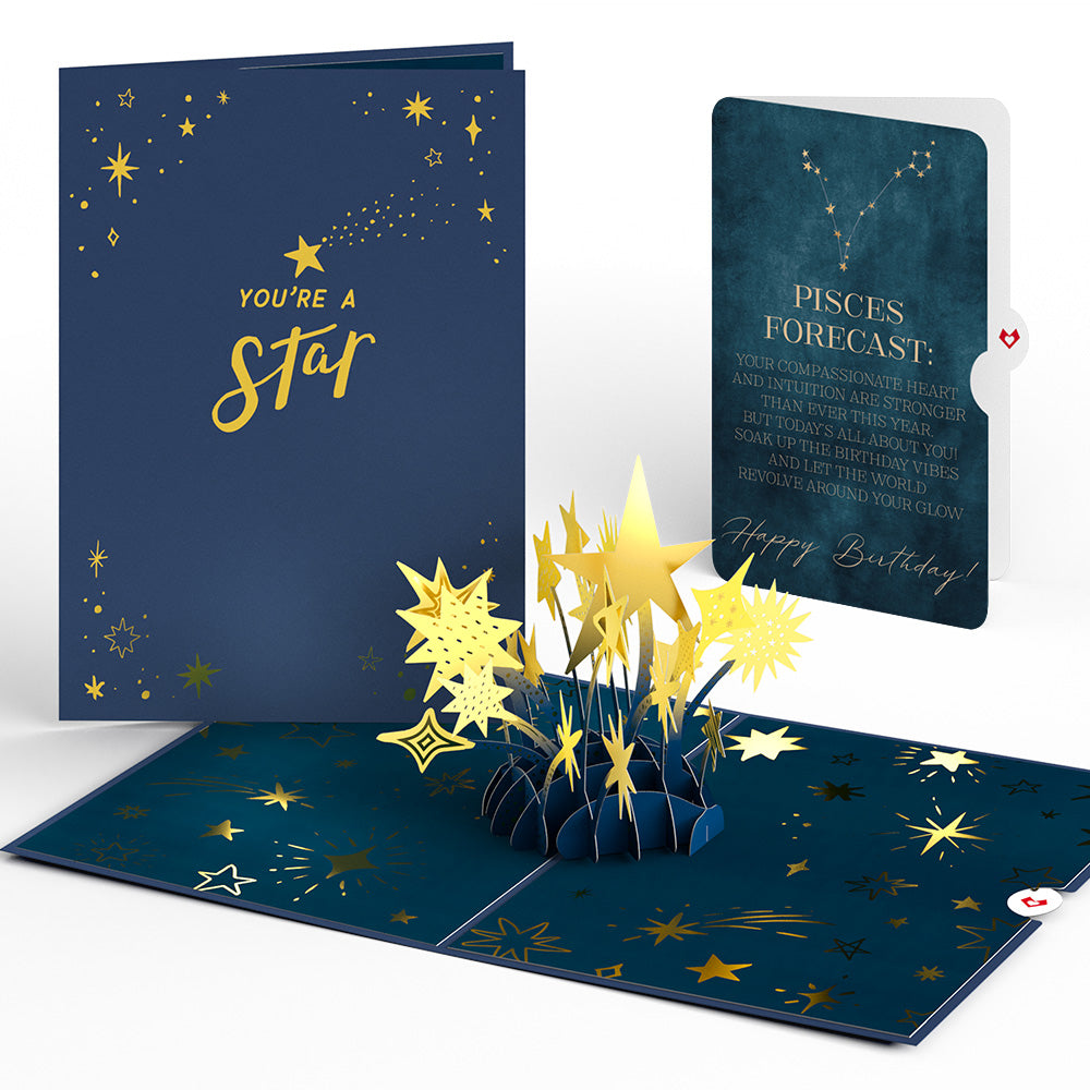 You're a Star Birthday Pop-Up Card and Pisces Zodiac Sentiment Set、mySite、solidvoid