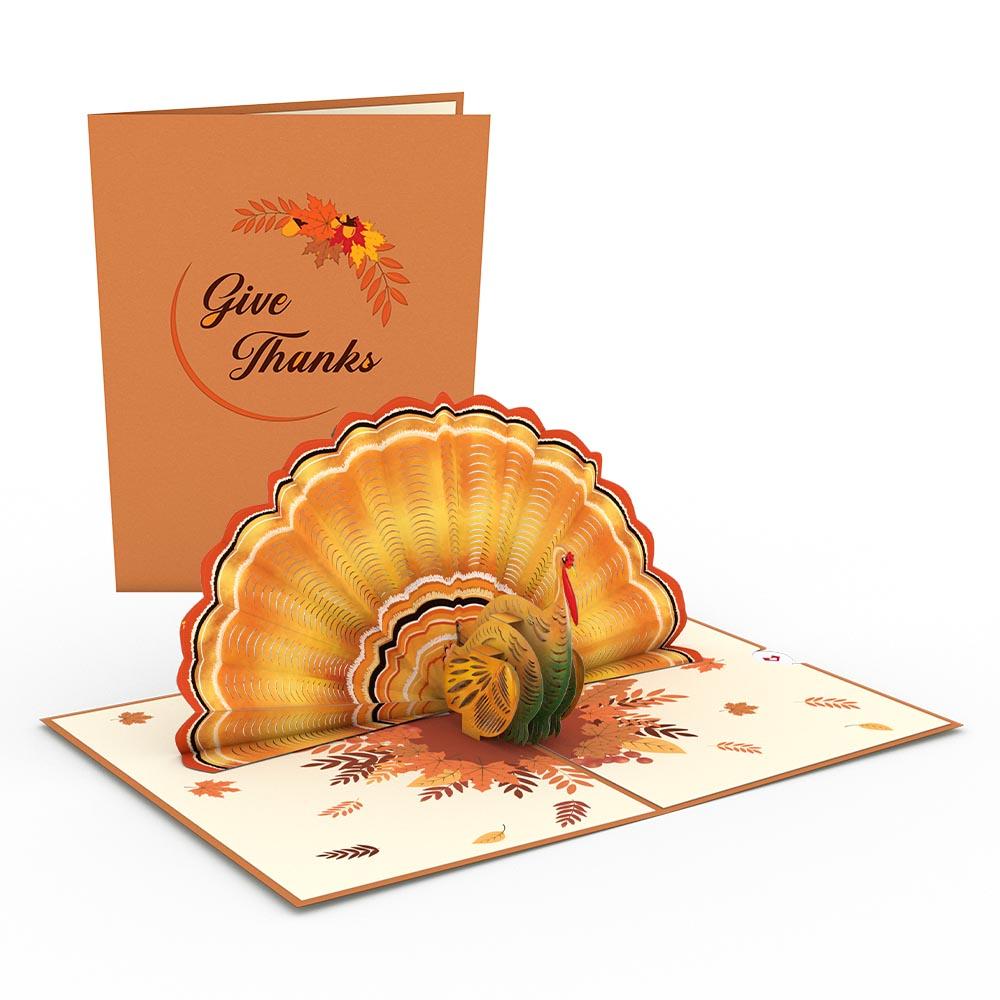 Thanksgiving 5-Pack、mySite、solidvoid