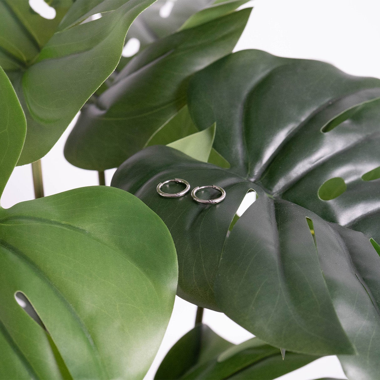 18K Gold PVD Stainless Steel Classic Hoop Huggie Earrings / ERJ0021、mySite、dreamappss