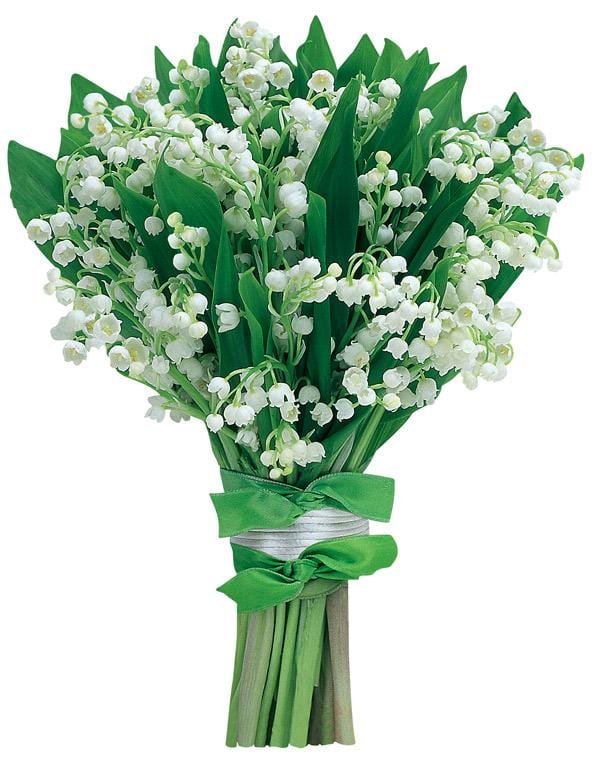  Note Card - Lily of the Valley Bouquet、mySite、ghnorth
