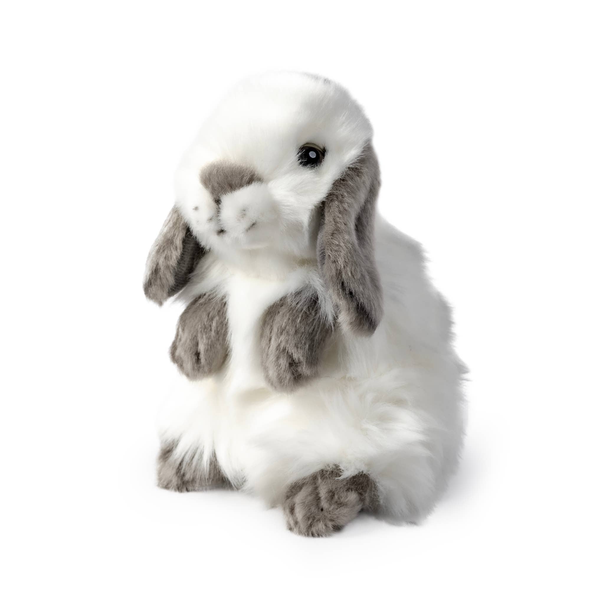 Lop Eared Gray and White Plush Bunny Rabbit Sitting Realistic So Cute! Living Nature、mySite、g9winljtr