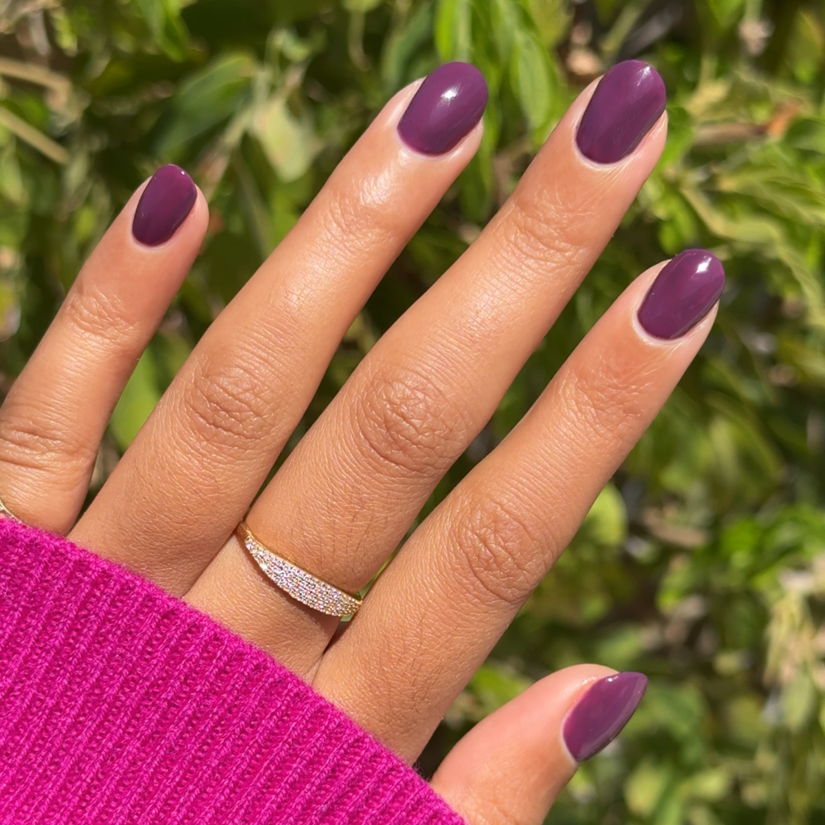 Who Likes Raisins?、mySite、solidvoid