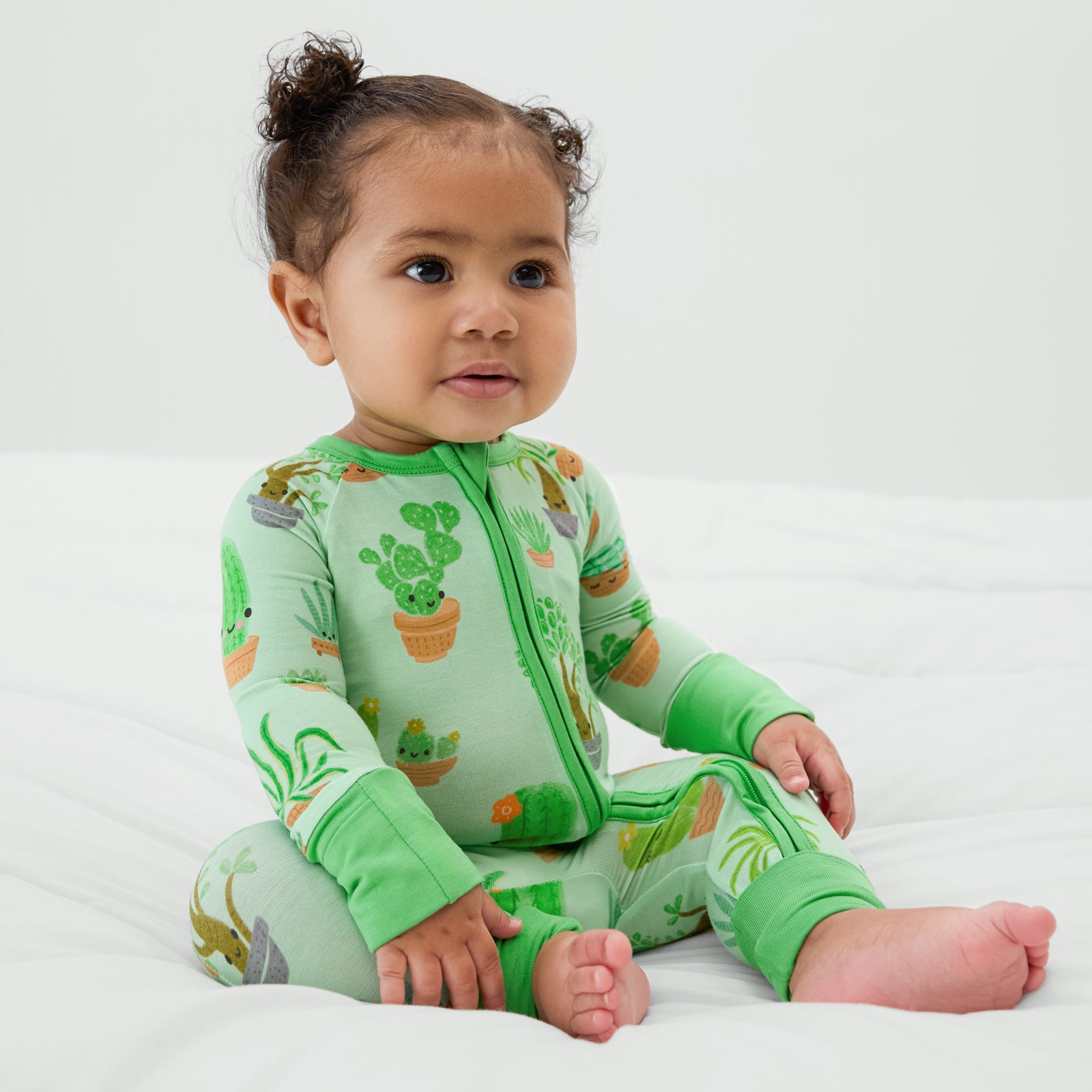  Succulent Love Zippy、mySite、layawaytickets