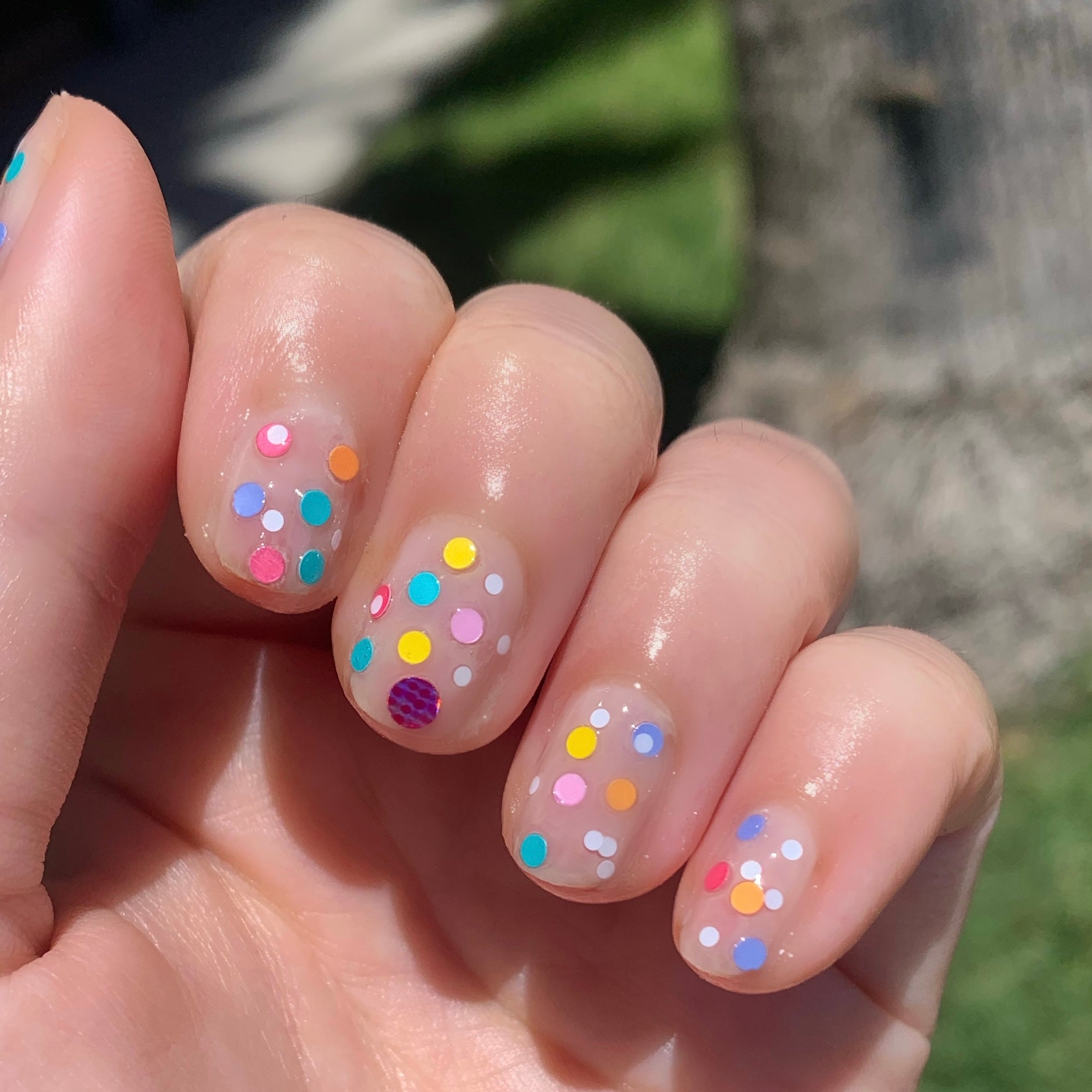 Sprinkle Cookie、mySite、solidvoid