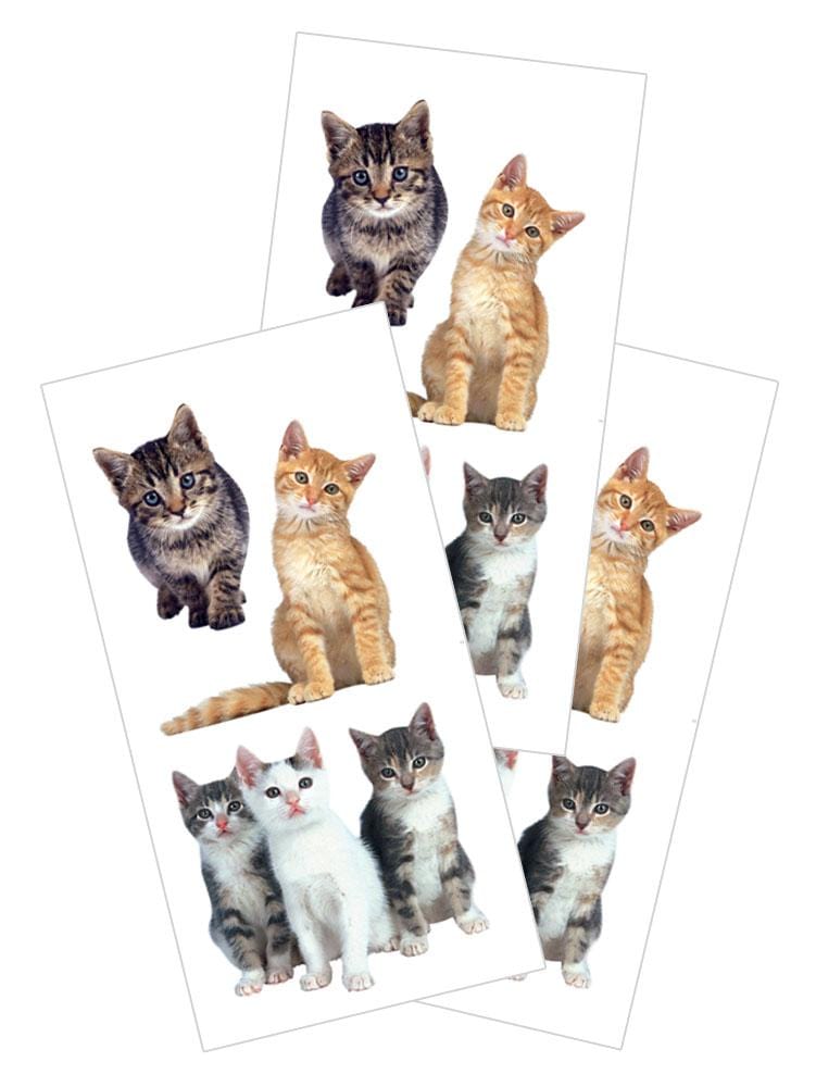  Decorative Stickers - Playful Kittens、mySite、ghnorth